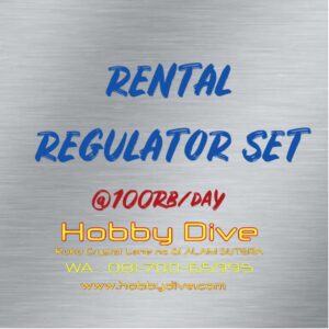 RENTAL Regulator Set per day HD-RNT02