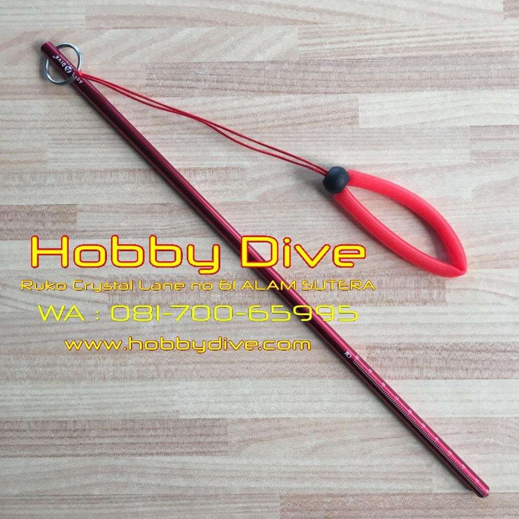 Stick Pointer Long Colour with Lanyard HD-019